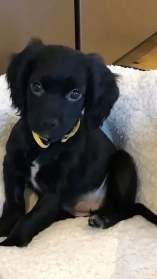 Instagram post 18062137963316187